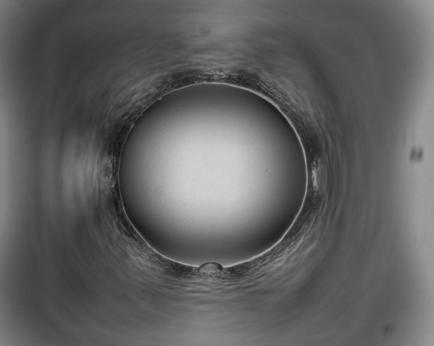 X0000100191347200806061249