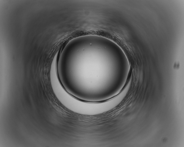 X0000100191348200806061249