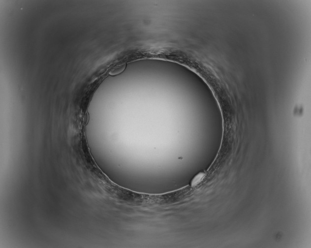 X0000100191349200806061249