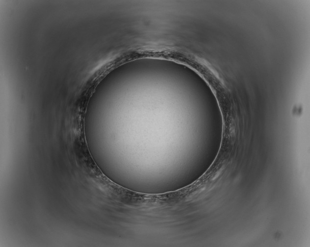X0000100191350200806061249