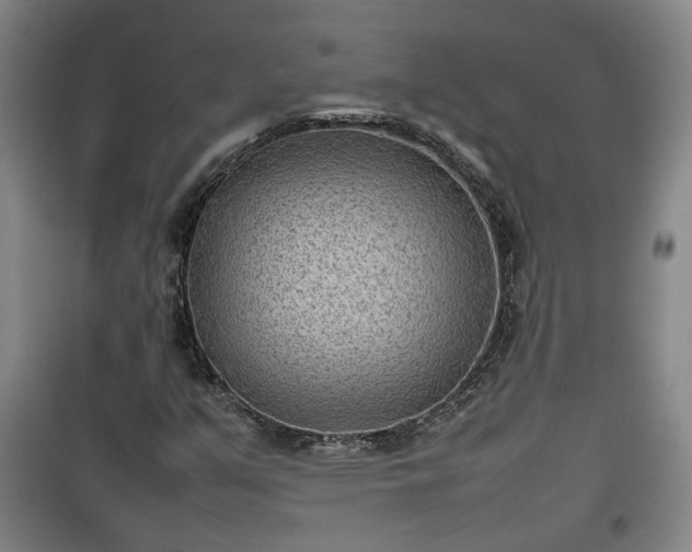 X0000100191351200806061249