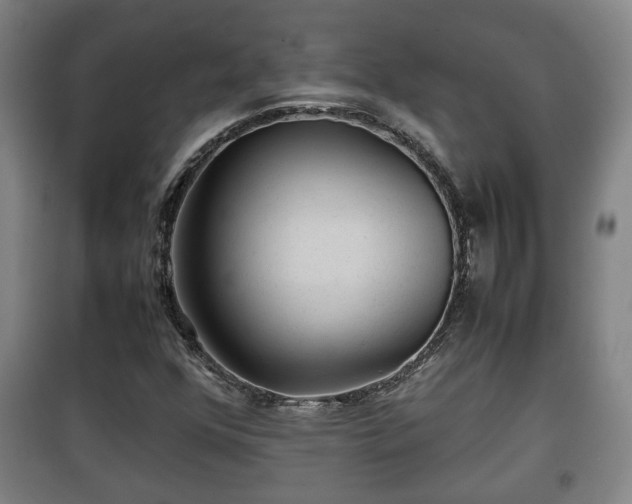 X0000100191352200806061249
