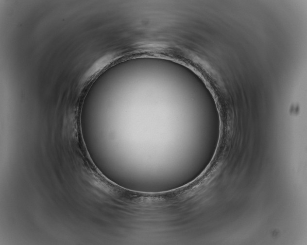 X0000100191354200806061249