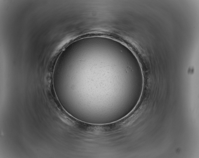 X0000100191355200806061249