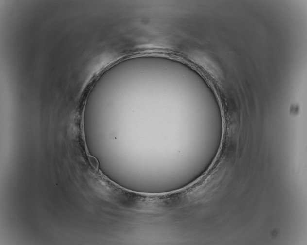 X0000100191357200806061249