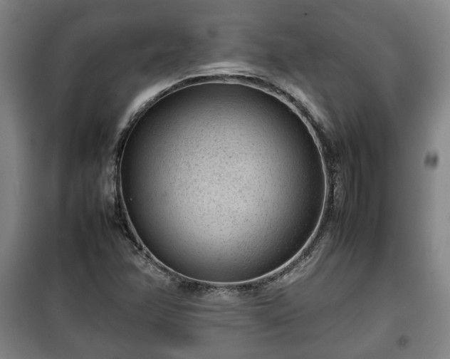 X0000100191358200806061249