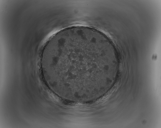 X0000100191359200806061249