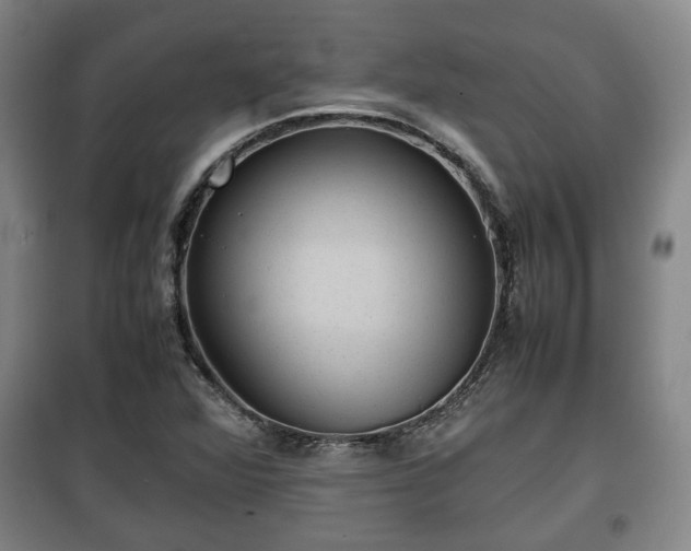 X0000100191360200806061249