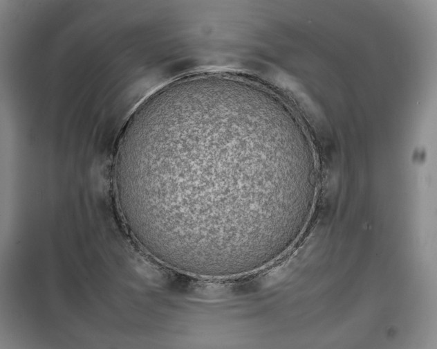 X0000100191361200806061249
