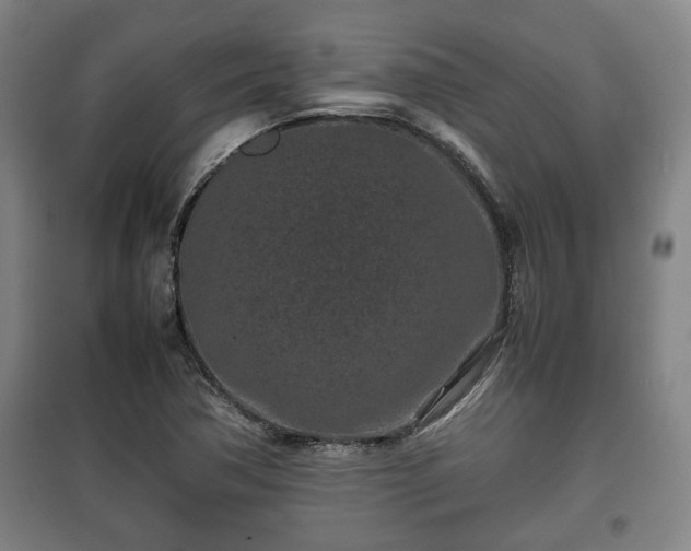 X0000100191362200806061249