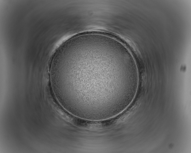 X0000100191363200806061249