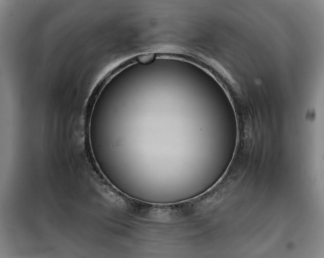 X0000100191364200806061249