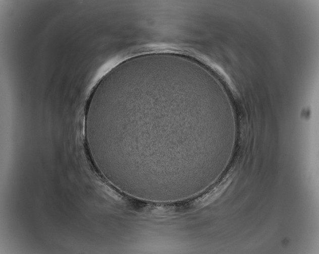 X0000100191365200806061249
