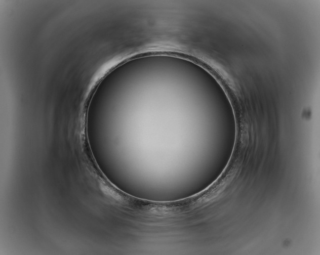 X0000100191366200806061248