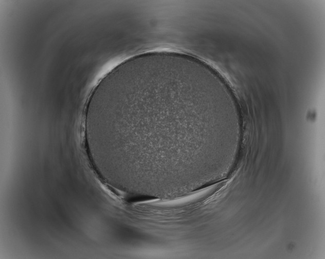 X0000100191367200806061248