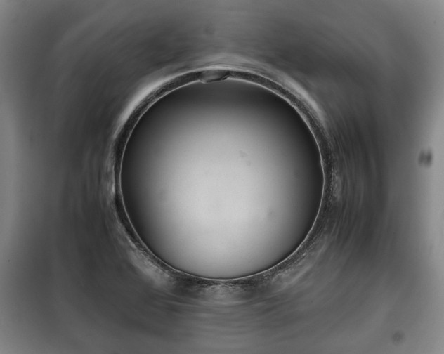 X0000100191368200806061248