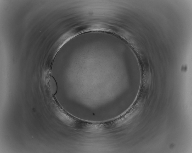 X0000100191369200806061248