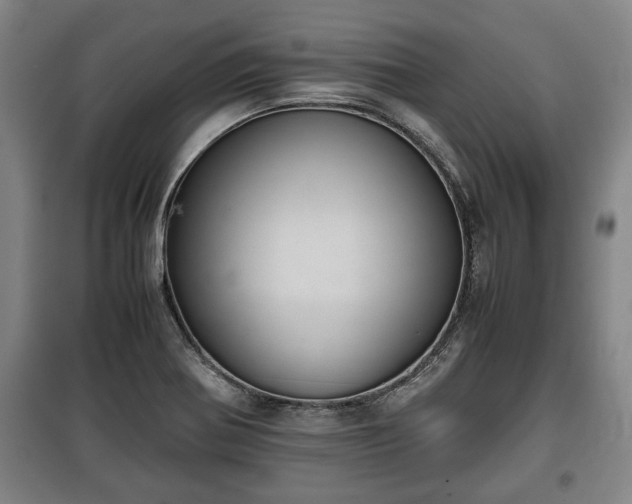 X0000100191370200806061248