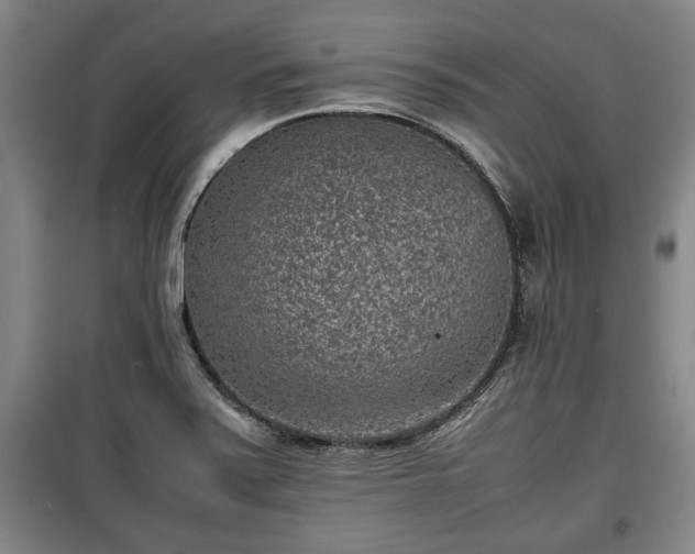 X0000100191371200806061248