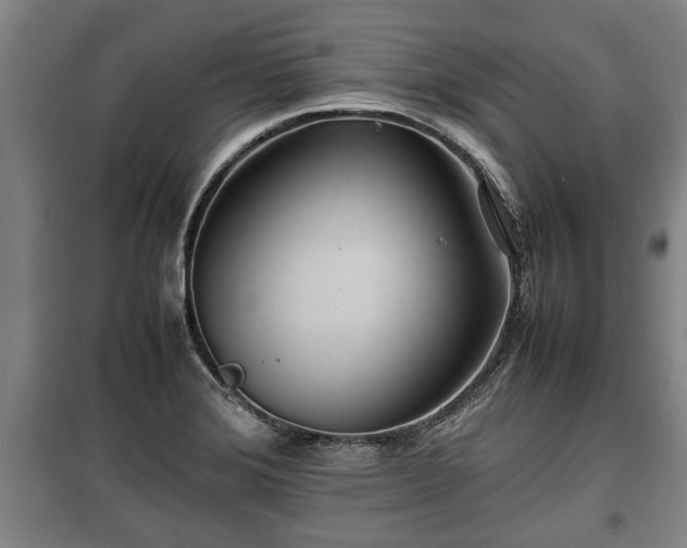 X0000100191372200806061248