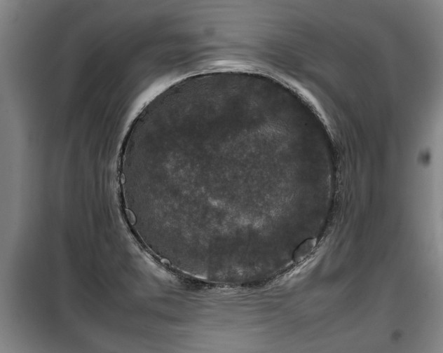 X0000100191373200806061248