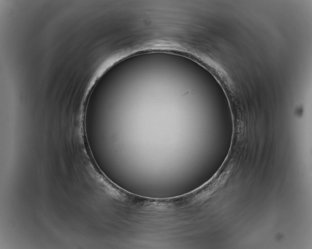 X0000100191374200806061248