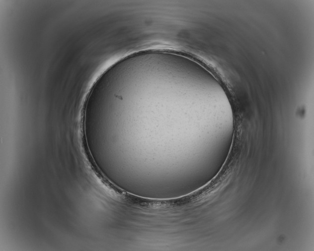 X0000100191375200806061248