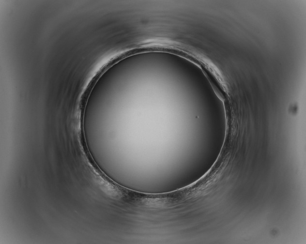 X0000100191376200806061248