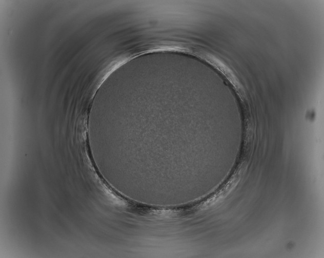 X0000100191377200806061248