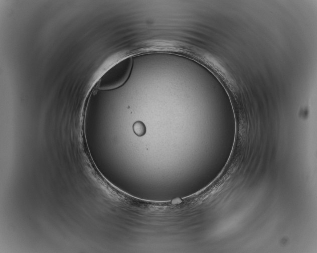 X0000100191378200806061248