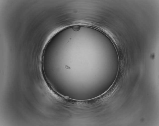 X0000100191379200806061248
