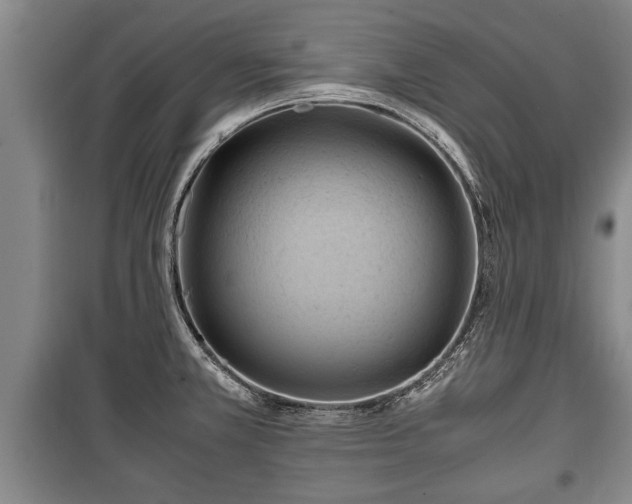 X0000100191381200806061248