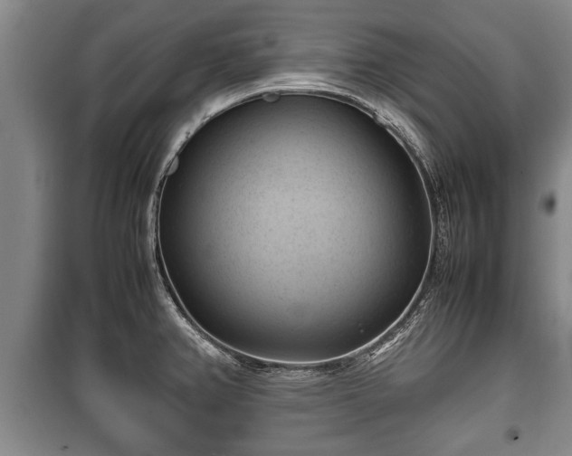 X0000100191382200806061248