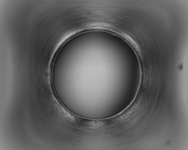 X0000100191384200806061248