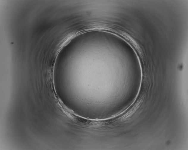X0000100191385200806061248