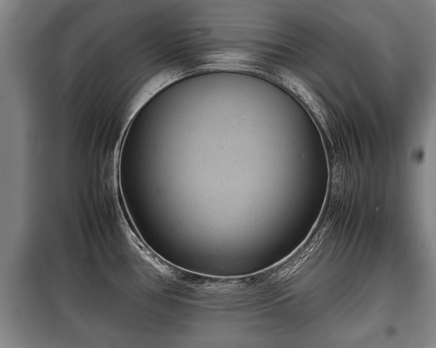 X0000100191386200806061248