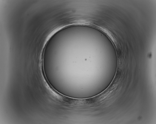 X0000100191387200806061248