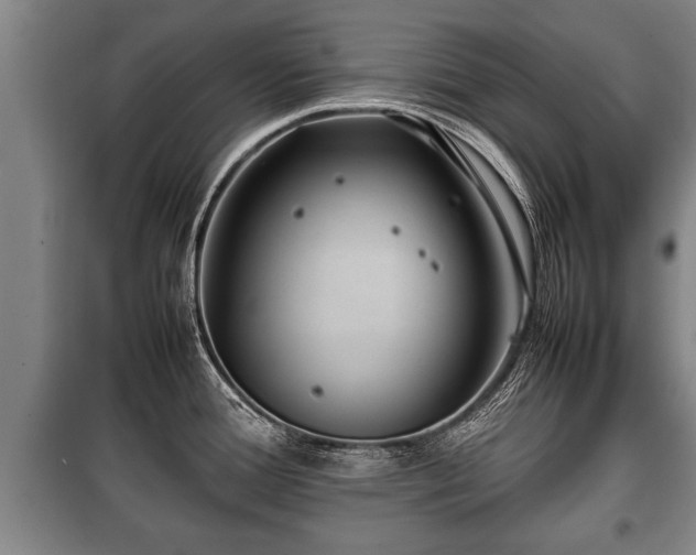 X0000100191388200806061248