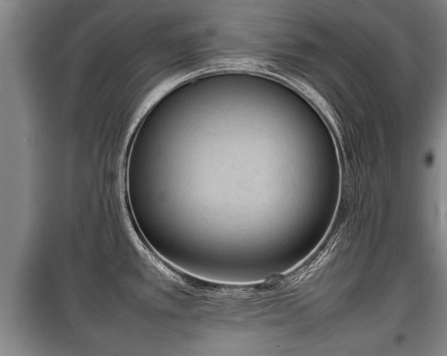X0000100191389200806061248