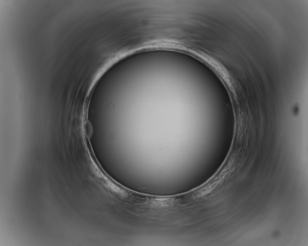 X0000100191390200806061248