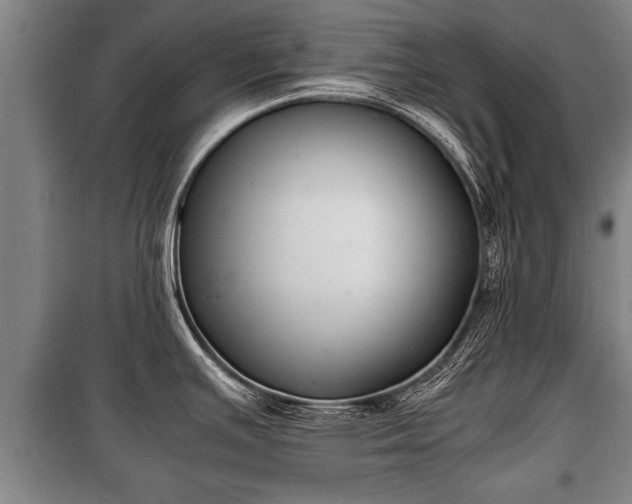 X0000100191391200806061248