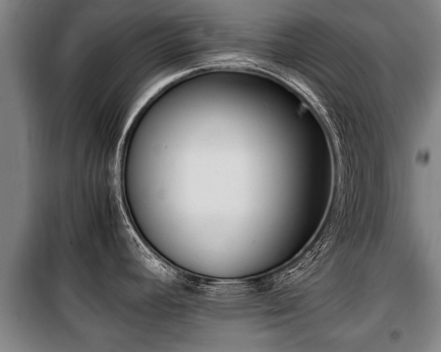 X0000100191392200806061248