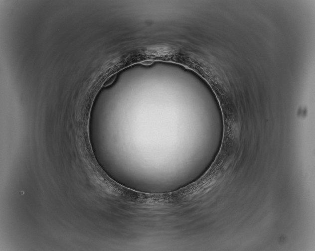 X0000100191393200806061247