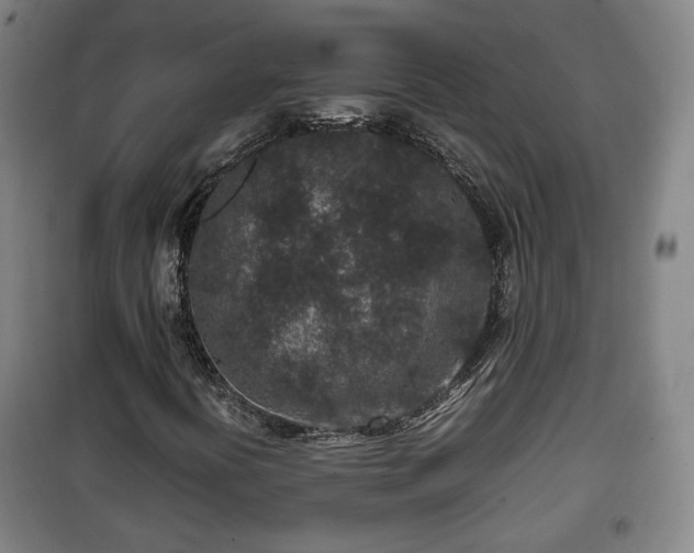 X0000100191394200806061247