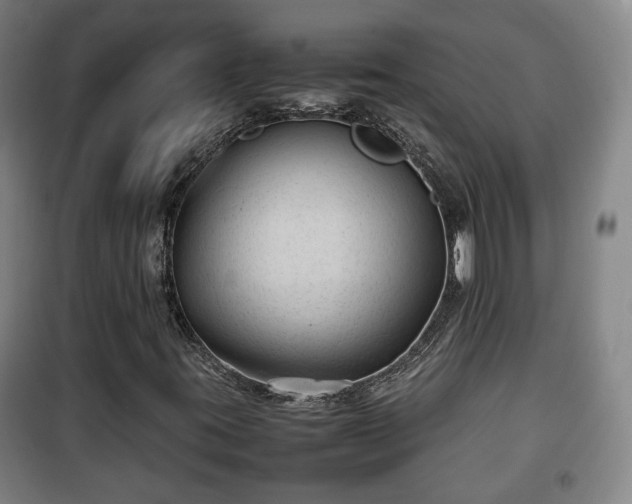 X0000100191395200806061247