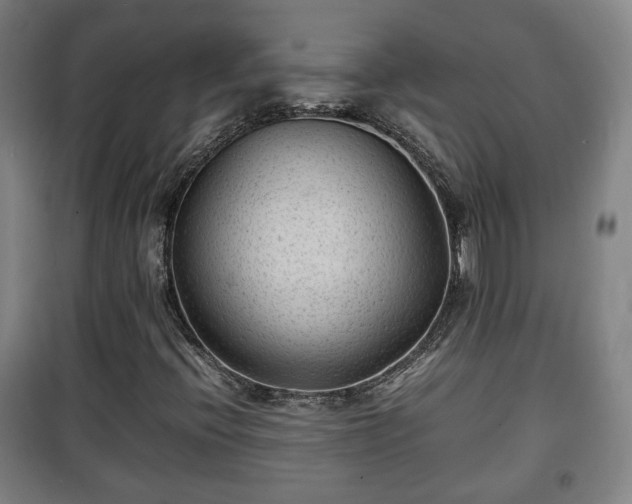 X0000100191396200806061247