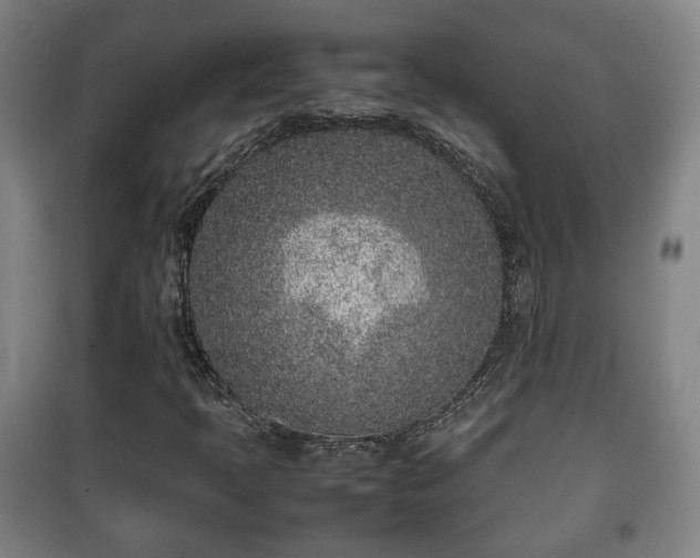 X0000100191397200806061247