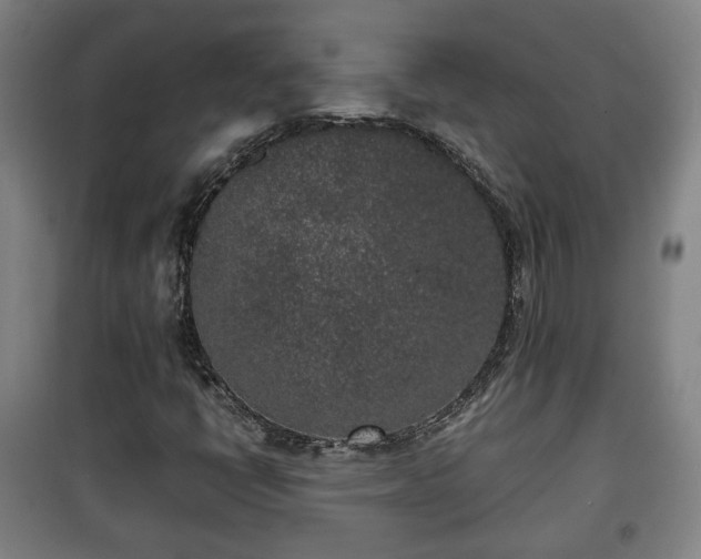 X0000100191398200806061247