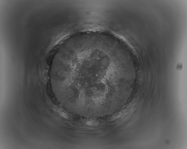 X0000100191399200806061247