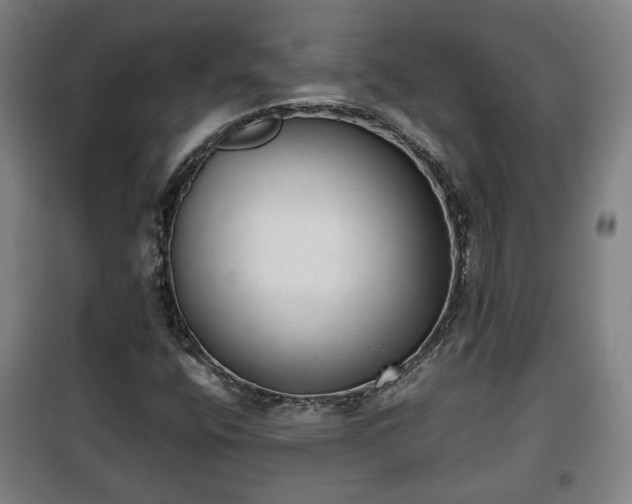 X0000100191400200806061247